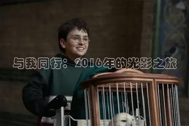 被窝网电影在线观看电视剧高清免费